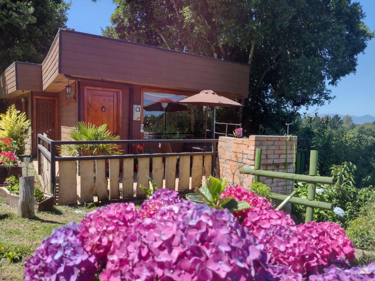 Cabanas Portal Del Rio Вильяррика Экстерьер фото